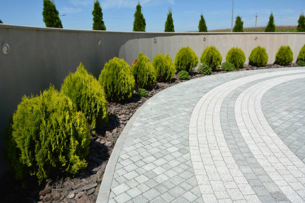 Reasons to Select Us for Your Driveway Paving Requirements in Lake Park, NC